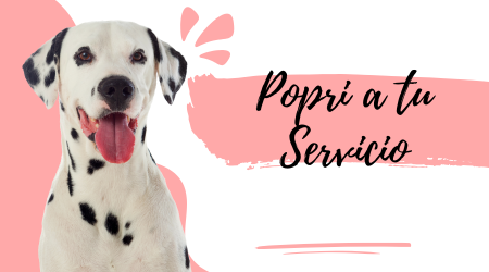 Popri a tu Servicio